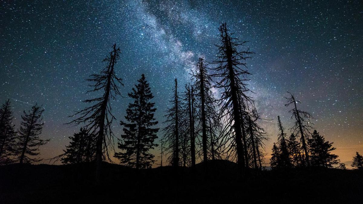 Resort Biela Skala - Chata Chopok Jasna Juh Bystrá Exteriér fotografie