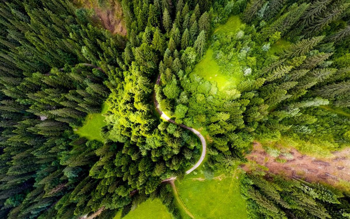 Resort Biela Skala - Chata Chopok Jasna Juh Bystrá Exteriér fotografie